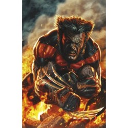 ULTIMATE WOLVERINE 1 COVER VARIANT DI LEE BERMEJO